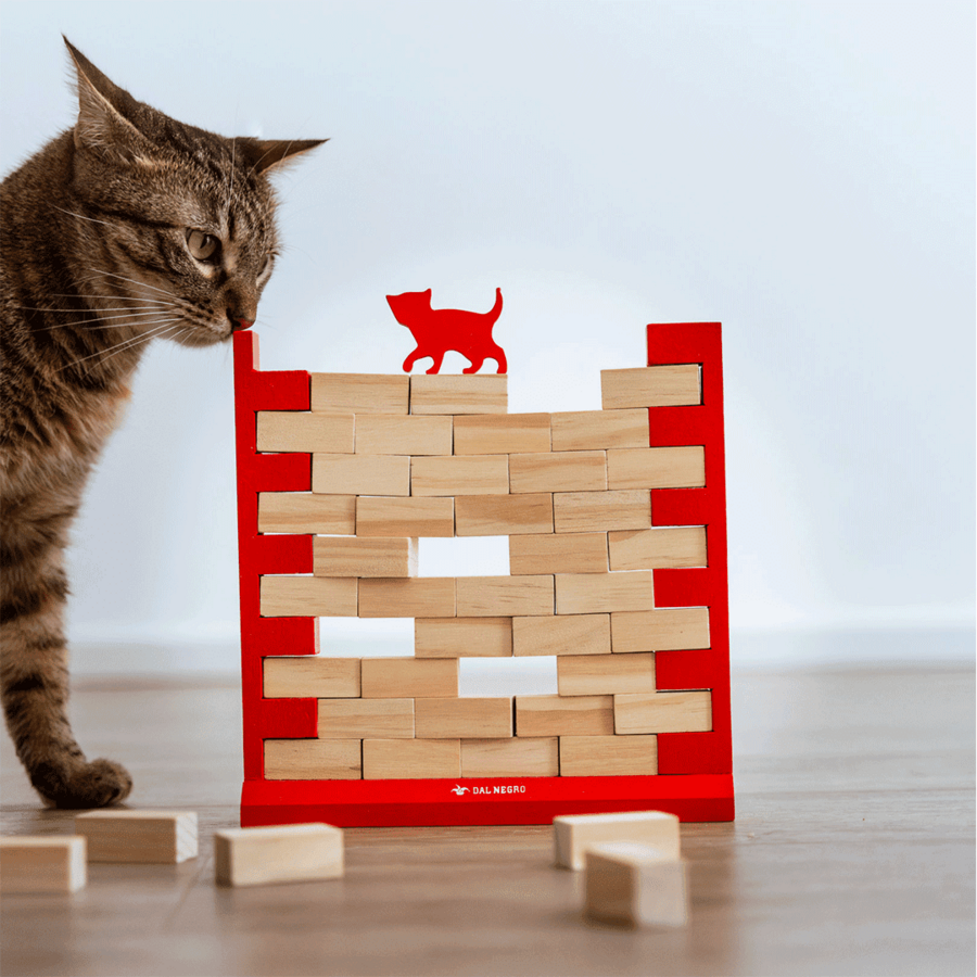 MIND THE CAT